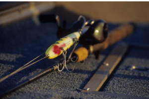 Bass Fishing Rods: Top Picks for Trophy Catches!