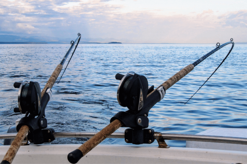 Fishing Rod Holders for Boats: Ultimate Angler's Guide 2024