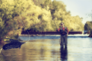 Fly Fishing Rod Essentials Cast Your Way to Success