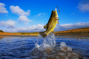 The Best Time For Topwater Bass Fishing