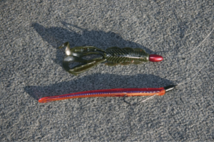 Bass Fishing Rigs: Essential Setups for Trophy Catches