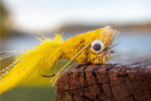 Bass Flies Essential Patterns for Successful Fishing