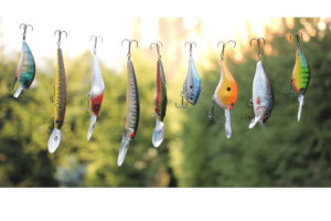 Fishing Bait Essentials: Boost Your Catch Rate Now!