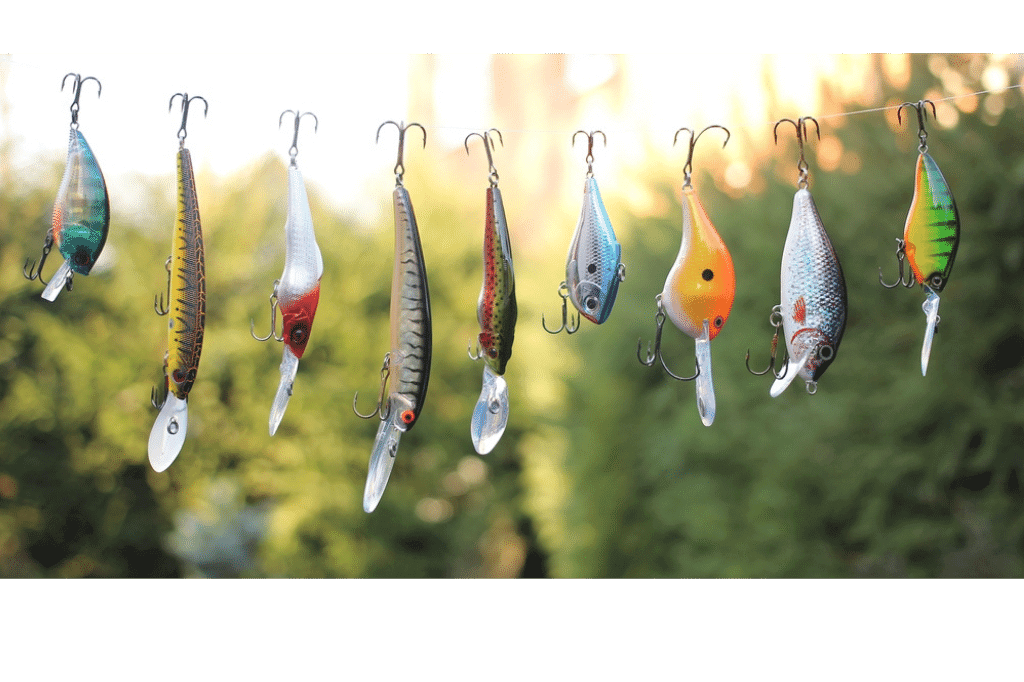 Fishing Bait Essentials: Boost Your Catch Rate Now!