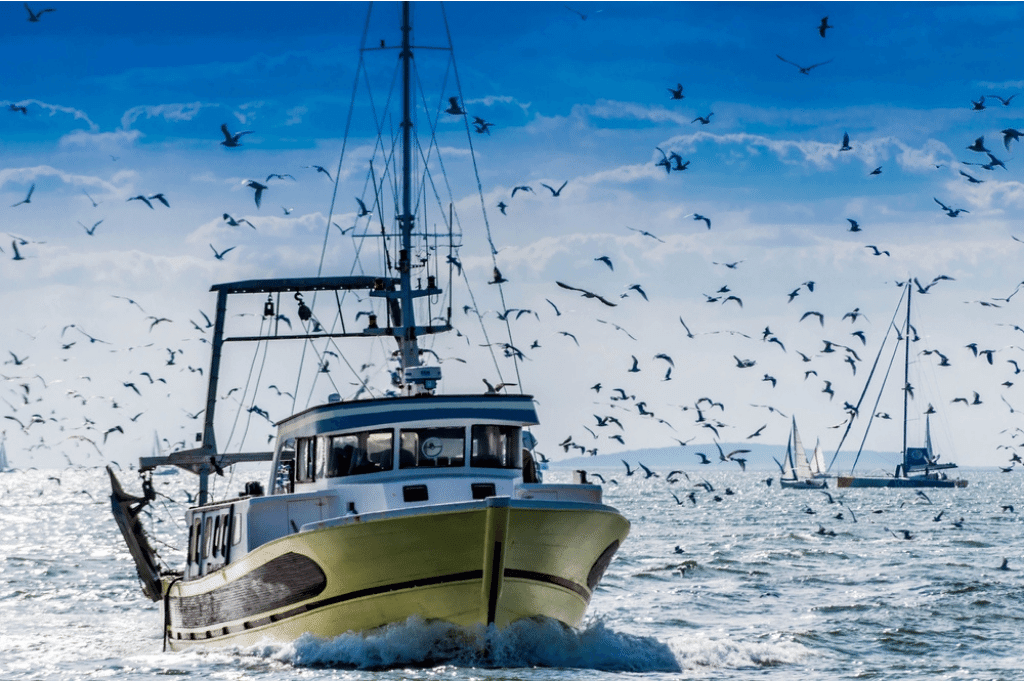 Fishing Boat Essentials Gear Up for the Perfect Catch!