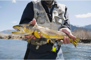 Fly Fishing Vest Essentials: Gear Up for the Perfect Cast