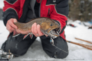 Ice Fishing Lures Essentials Boost Your Catch Rate!