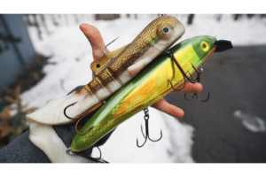 Musky Lures 101 Select & Succeed in Trophy Fishing!