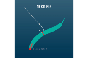 Neko Rig Tactics Elevate Your Bass Fishing Game!