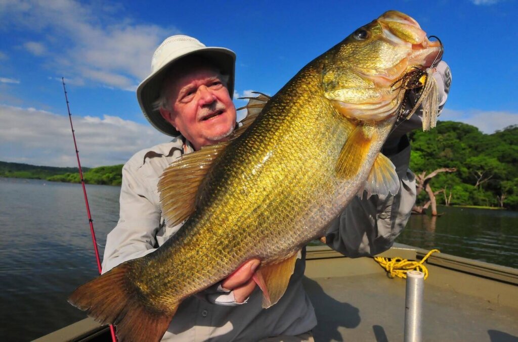 Swimbaits for Bass Secret to Monster Catches!