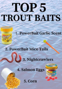Trout Fishing Bait Secrets- Boost Your Catch Rate!