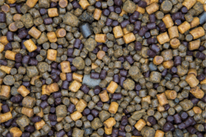 Trout Fishing Bait Secrets: Boost Your Catch Rate!