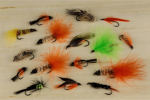 Trout Fishing Lures: 10 Must-Have Baits for Success!