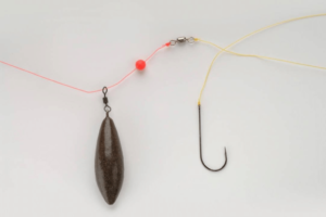 Carolina Rig Fishing Essential Tips for Big Catches