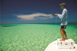 A fish shirt is a unique clothing item often adorned with aquatic-themed patterns. It's a popular choice for fishing enthusiasts and casual wear.