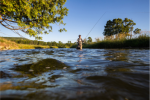 Fly Fishing for Bass: Essential Tips for Success