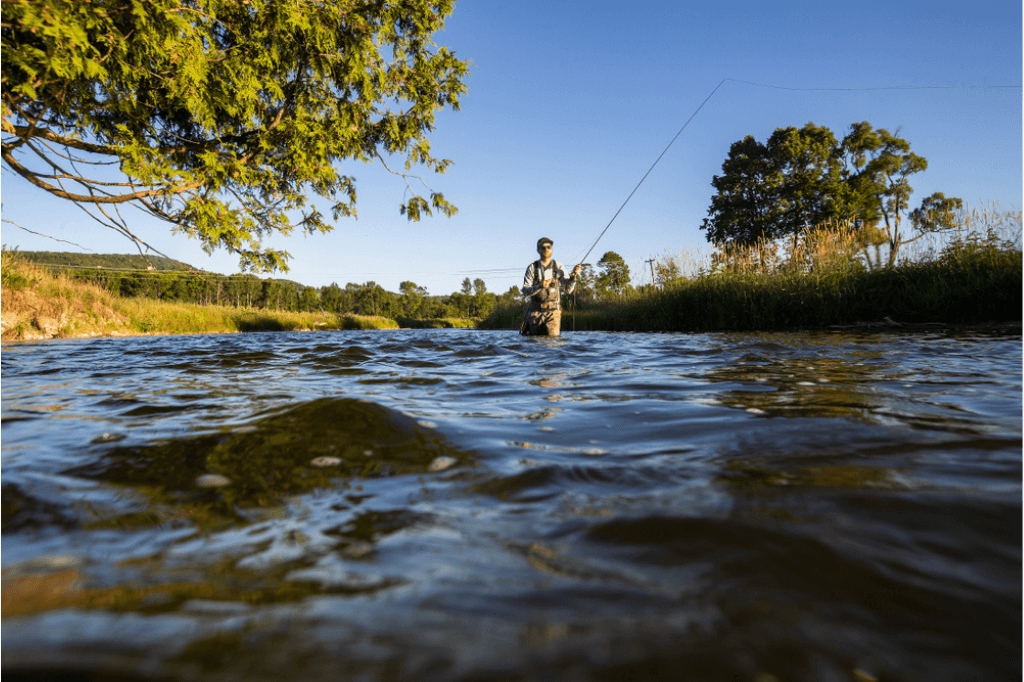 Fly Fishing for Bass: Essential Tips for Success