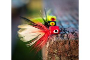 Fly Fishing for Bass: Essential Tips for Success