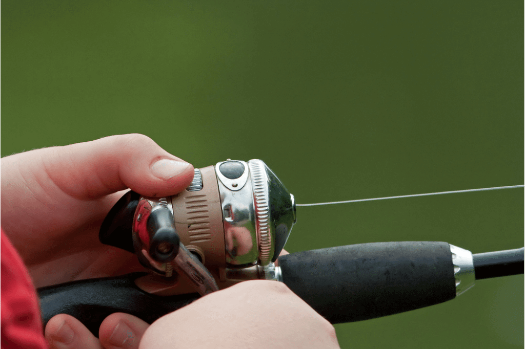 Spincast Reels: Unveiling Top Choices for Anglers