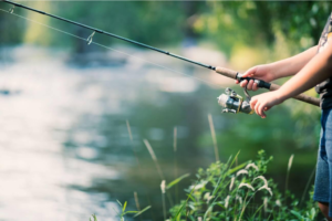 What Qualities Do You Look for in a Fishing Rod Discover Key Features!