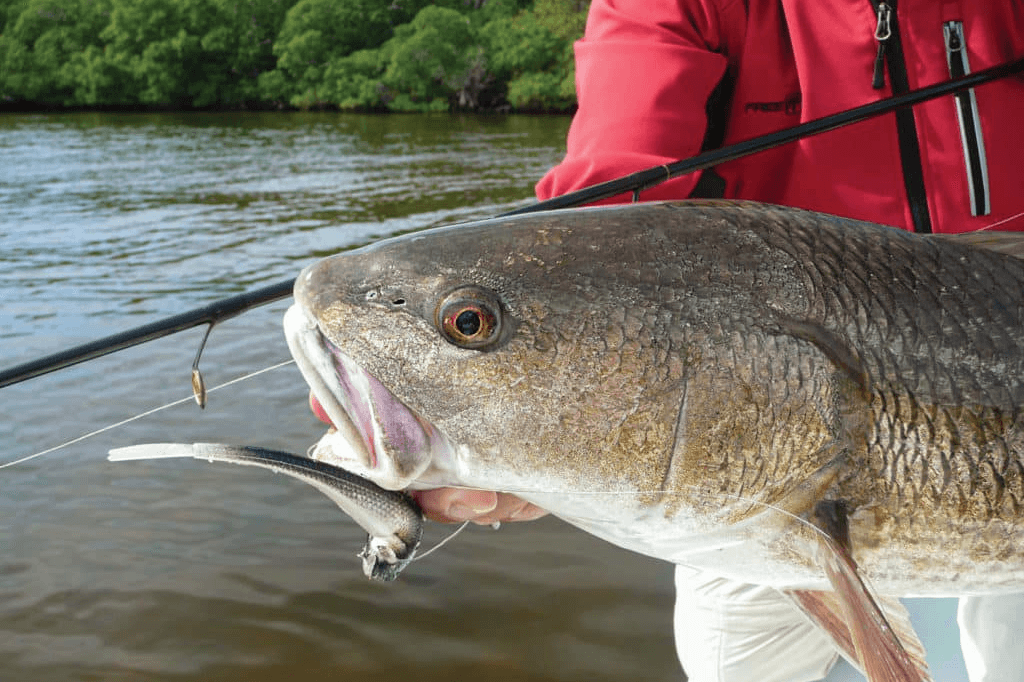 What is the Best Fishing Line for Redfish Unraveled Secrets