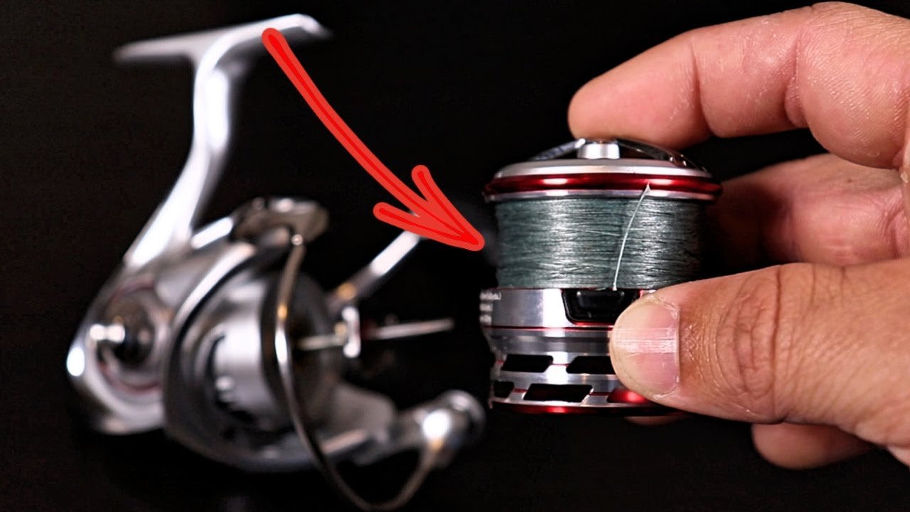 How Often Should You Replace Your Fishing Line?
