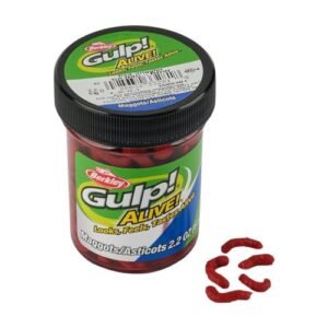 Best Bait for Ice Fishing