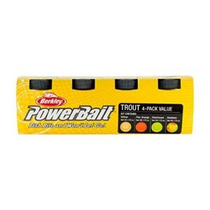 Best Bait for Trout Fishing