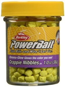 Best Baits for Crappie Fishing