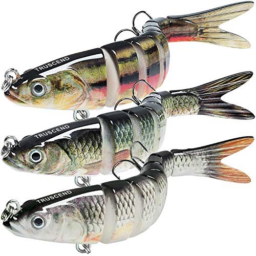 Best Bass Fishing Lures for Fall