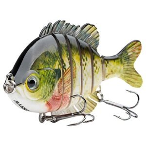 Best Bass Lures for Spring Fishing