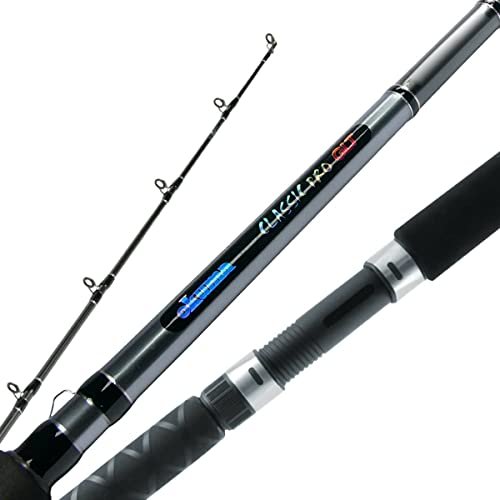 Best Downrigger Rods for Salmon Fishing