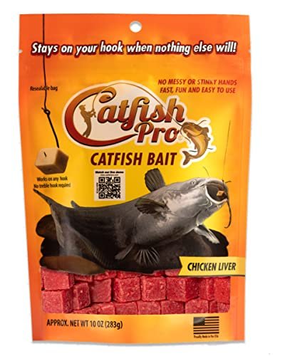 Best Fish Bait for Catfish