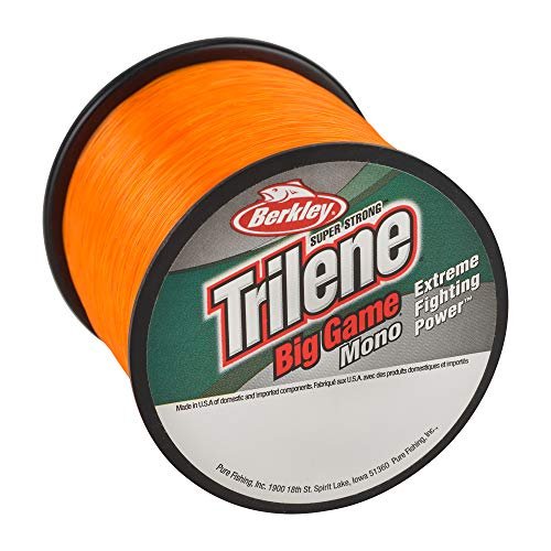 Best Fishing Line for Catfish