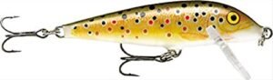 Best Fishing Lures for Brown Trout