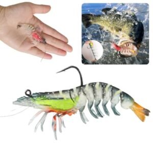 Best Fishing Lures for Snook