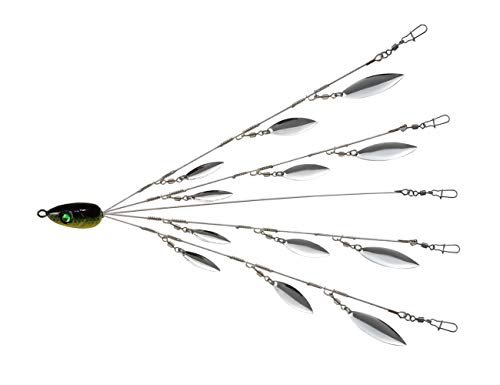 Best Fishing Lures for Stripers