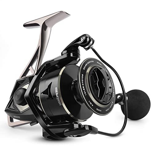 Best Fishing Reels for Catfish