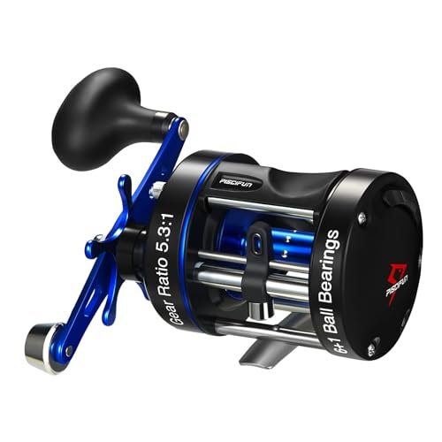 Best Fishing Reels for Catfishing