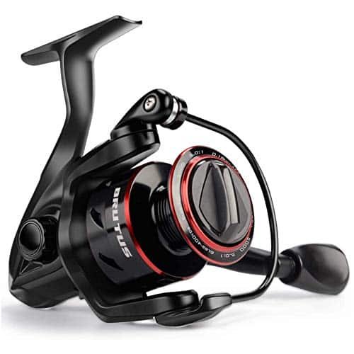 Best Fishing Reels for Freshwater