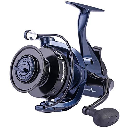 Best Fishing Reels for Striped Bass