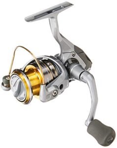 Best Fishing Reels for Trout