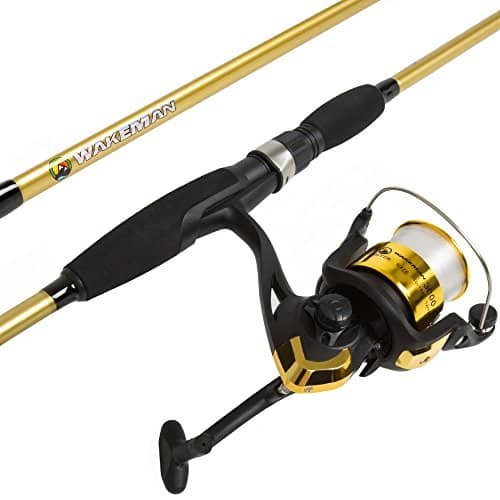 Best Fishing Rods for Bass And Trout