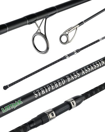 Best Fishing Rods for Striped Bass