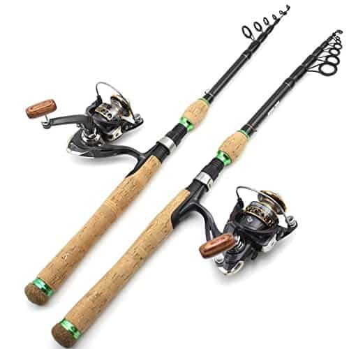 Best Fishing Rods for Trout