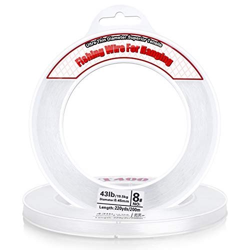 Best Knot for Monofilament Fishing Line