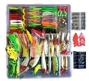 Best Lures for Creek Fishing