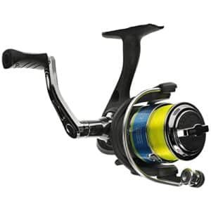 Best Reels for Crappie Fishing