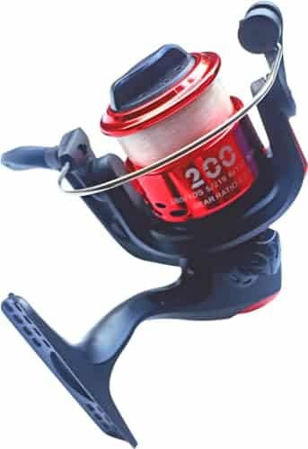 Best Reels for Fishing