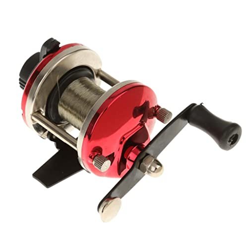 Best Reels for Shore Fishing